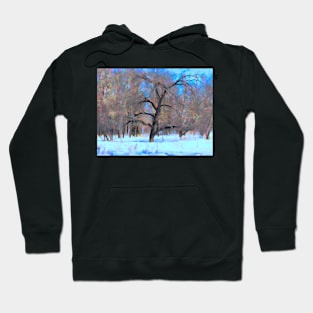 Winter tree illustration Hoodie